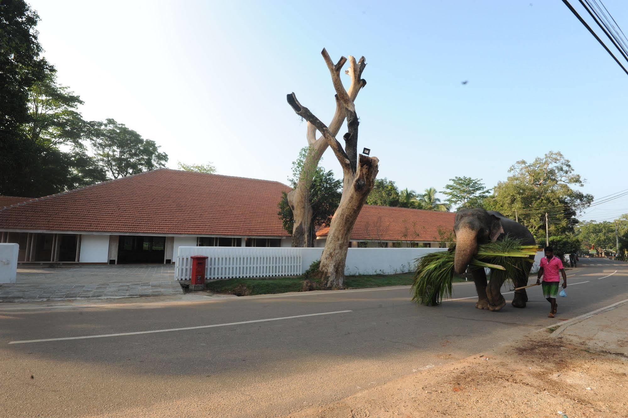 Ekho Sigiriya Hotel Esterno foto